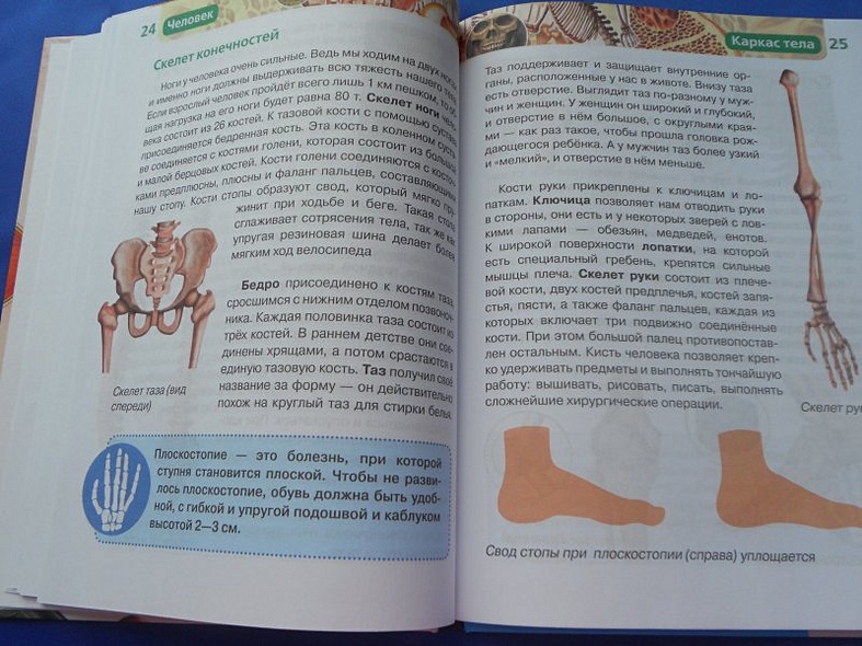 Человек - фото 15