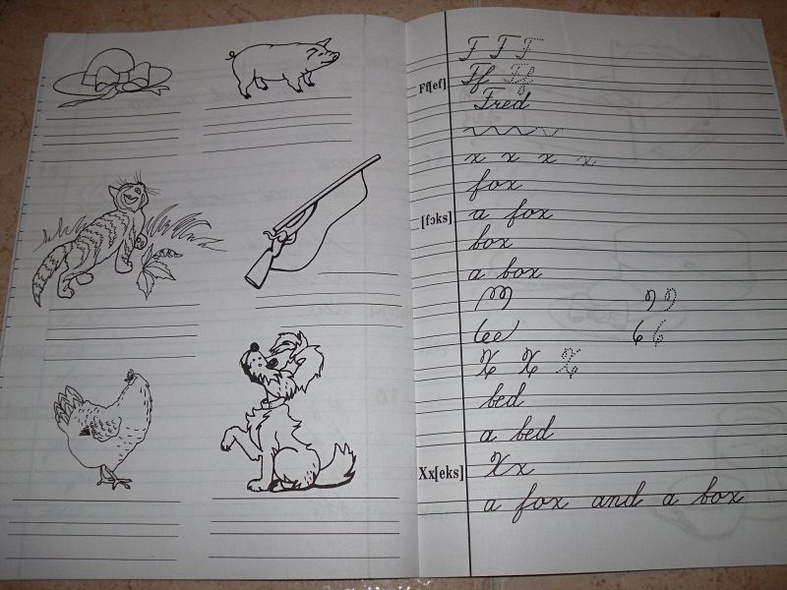 Английский для детей Пропись-раскраска - фото 7