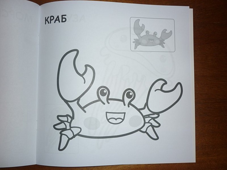 В океане - фото 11