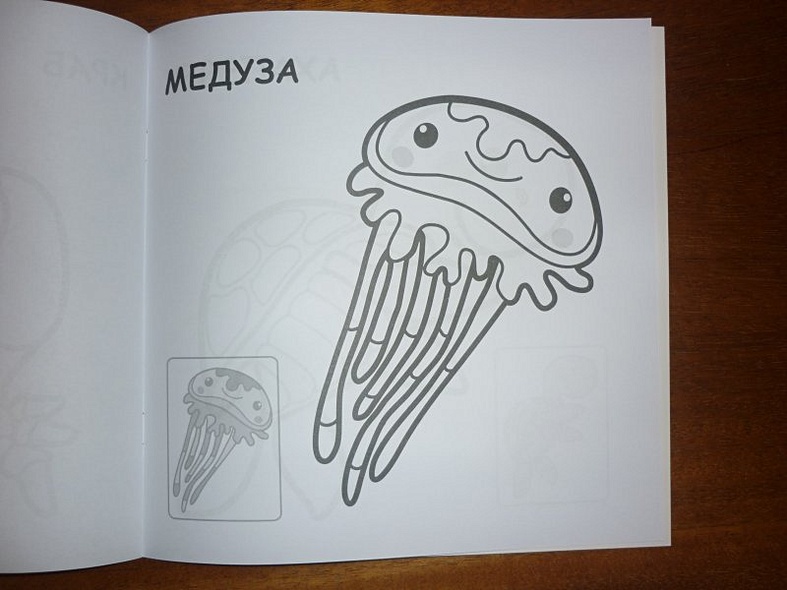 В океане - фото 12