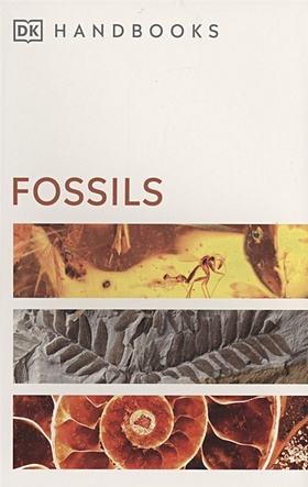 Fossils - фото 1