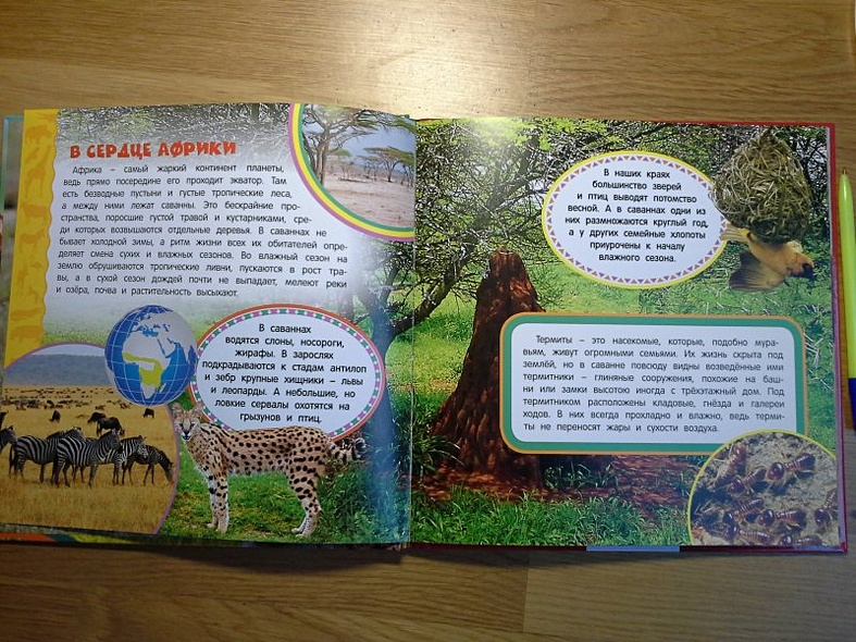 Животные Африки. Самая первая энциклопедия - фото 4