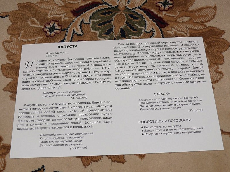 Расскажите детям об овощах. Карточки для занятий в детском саду и дома. - фото 9