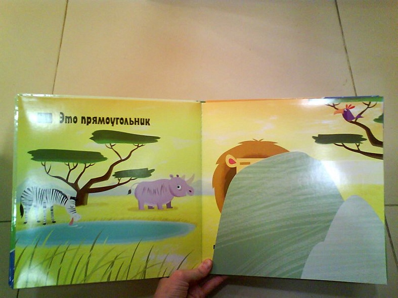 Кто бывает круглым? - фото 3