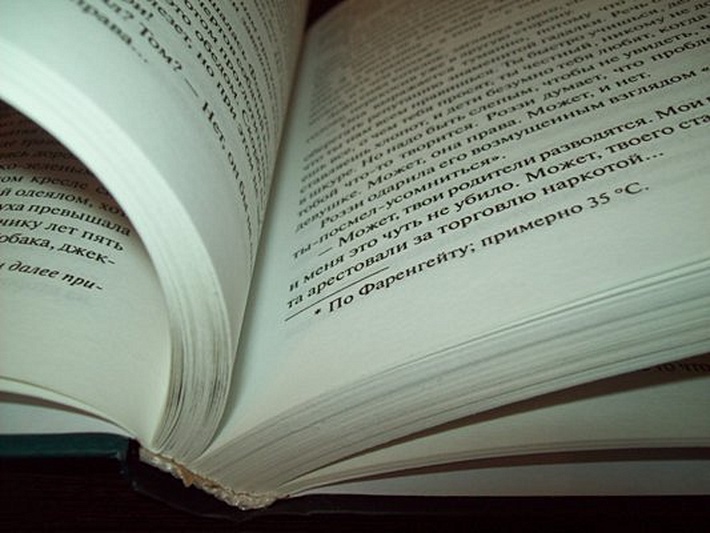 Книга Страна радости • Стивен Кинг – купить книгу по низкой цене ...