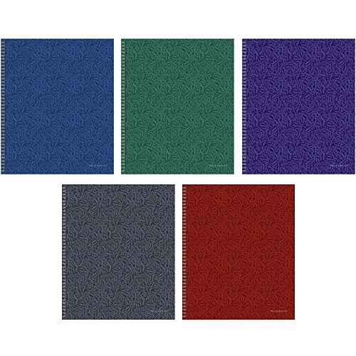 Стиль цвета (гребень), 5 видов ТЕТРАДИ А5 (гребень) 96Л. Обложка: лакирование - фото 1