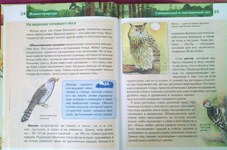 Живая природа. Детская энциклопедия - фото 13