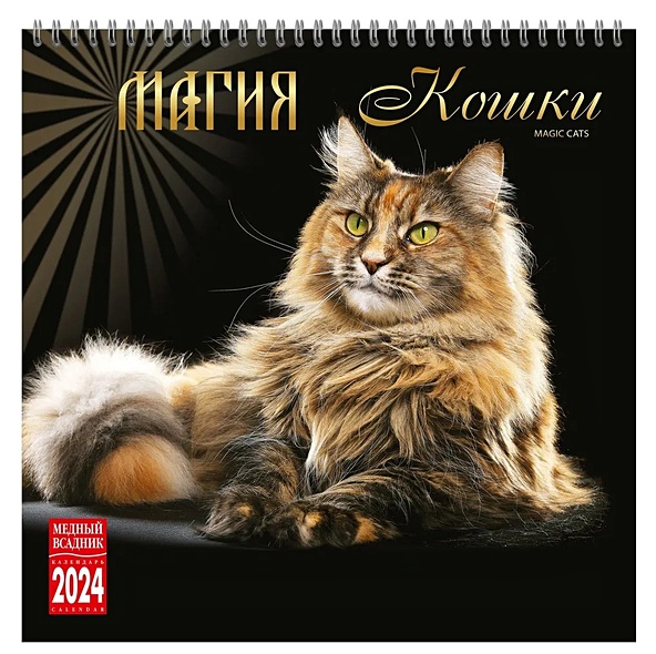 Календарь 2024г 320*320 "Магия кошки" настенный, на спирали - фото 1