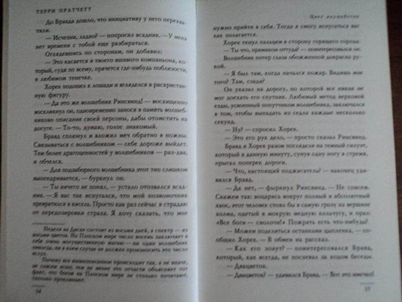 Цвет волшебства : фантастический роман - фото 15