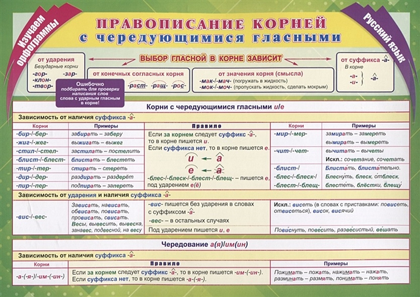 Учебный плакат. Русский язык. Изучаем орфограммы. Правописание корней с чередующимися гласными - фото 1