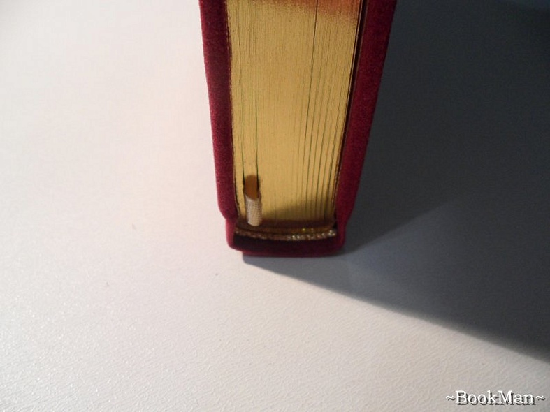 Рассказы о Шерлоке Холмсе - фото 15