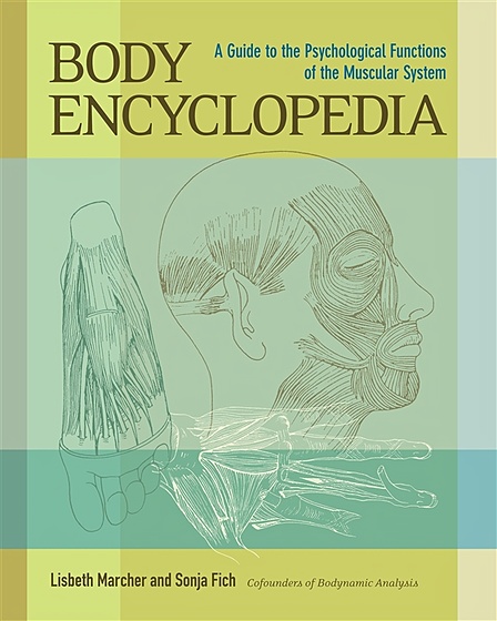 Body Encyclopedia. A Guide to the Psychological Functions of the Muscular System - фото 1