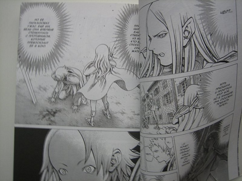 Клеймор. Книга 5. Воительницы - фото 6