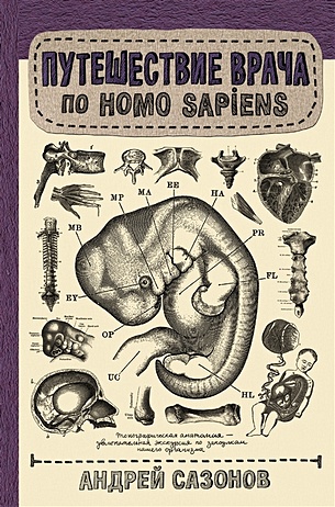 Путешествие врача по Homo Sapiens - фото 1