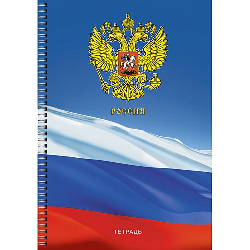 Тетрадь для конспектов в клетку «Государственная символика. Россия», А4, 96 листов - фото 1