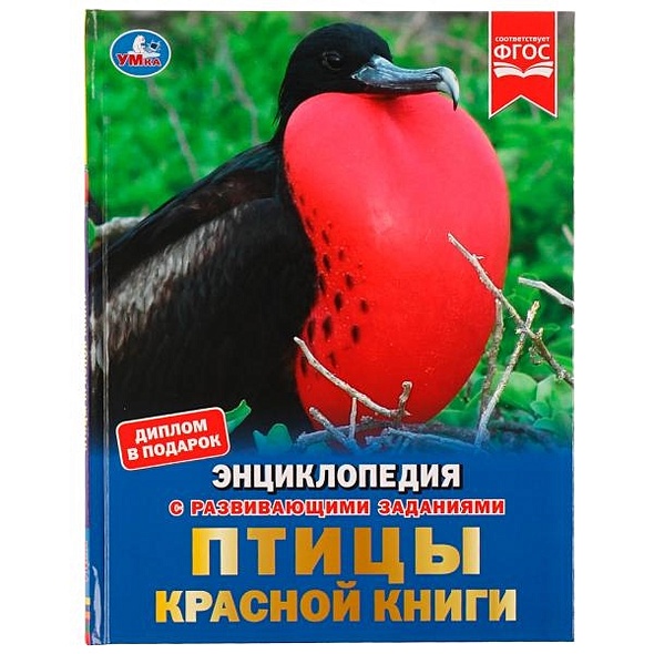 Птицы Красной книги - фото 1
