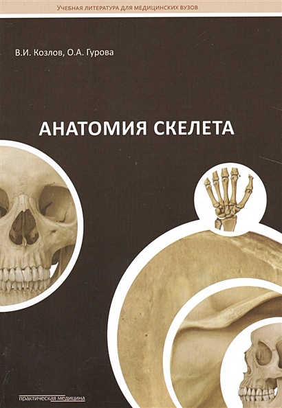 Анатомия скелета. Учебное пособие - фото 1