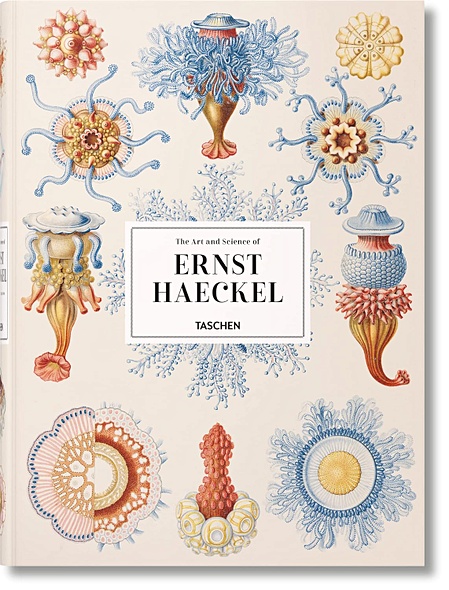 The Art and Science of Ernst Haeckel - фото 1