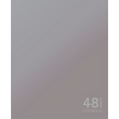 Тетрадь общая «Сияние цвета. Серебристый», А5, 48 листов - фото 1