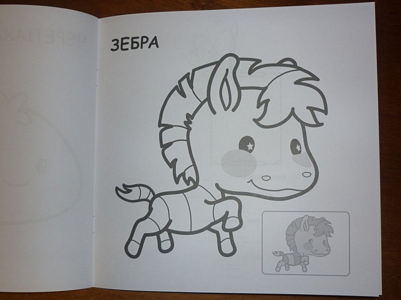 В Африке - фото 15