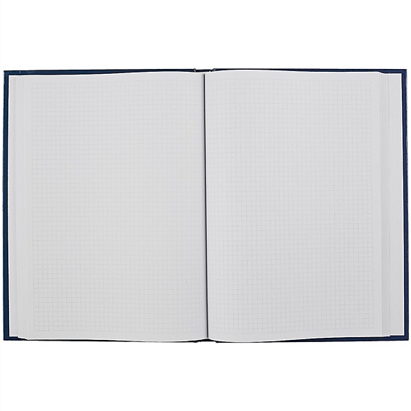 Книга для записей А4 160л кл. "In format" 7БЦ, глянц.ламинация ...