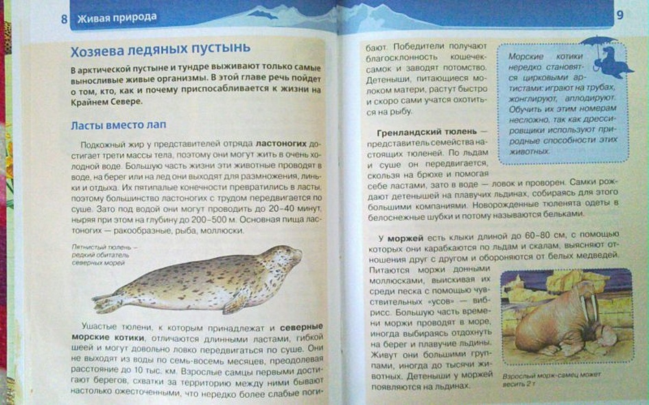 Живая природа. Детская энциклопедия - фото 10
