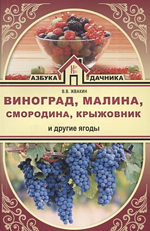 Виноград, малина, смородина, крыжовник и другие ягоды - фото 1