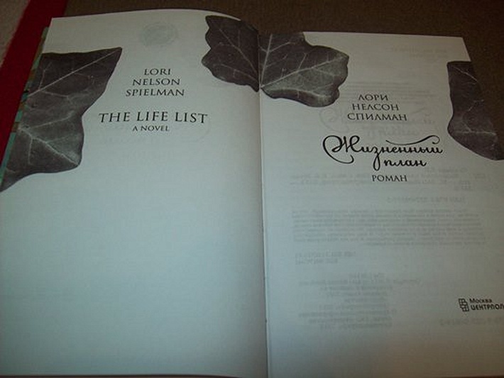 Жизненый план - фото 3