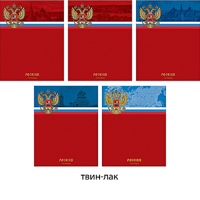 Государственная символика (красная) 96л,(Россия) 5 видов ТЕТРАДИ А5 (гребень) 96Л. Обложка: лакирование - фото 1