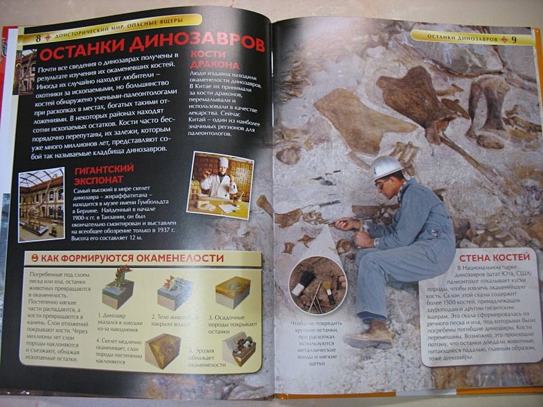 Доисторический мир. Опасные ящеры - фото 3