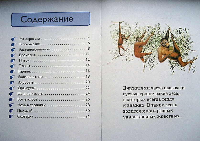 Джунгли - фото 3