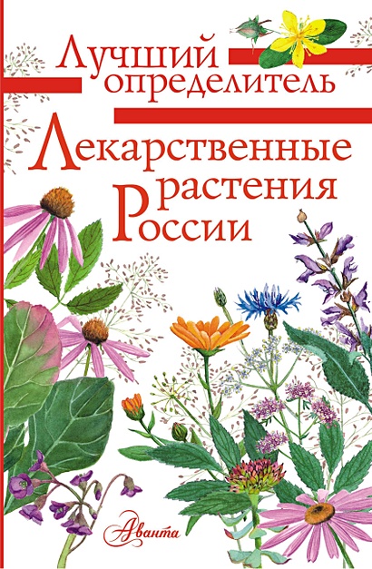 Лекарственные растения России - фото 1
