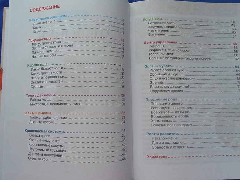 Человек - фото 14