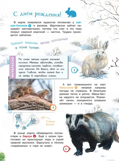 Энциклопедия для мальчиков и девочек. Наша природа - фото 6