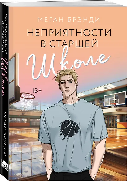 Неприятности в старшей школе - фото 3