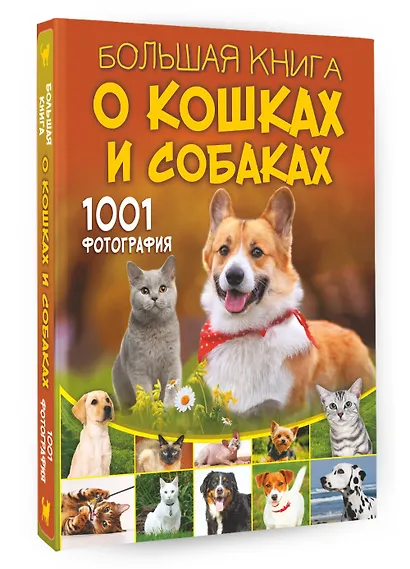 Большая книга о кошках и собаках. 1001 фотография - фото 3