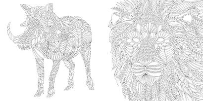 Первозданная красота. Книга для творчества и вдохновения - фото 7