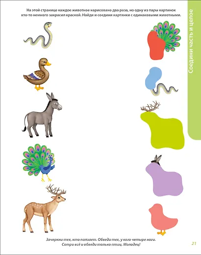 Развивающий альбом  2+. Пиши - стирай - фото 8