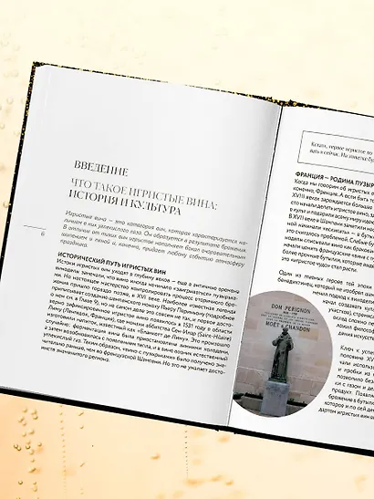 Игристое. От просекко и кавы до шампанского. История, регионы, выбор - фото 8