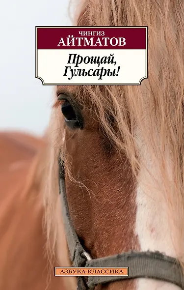 Прощай, Гульсары! - фото 1
