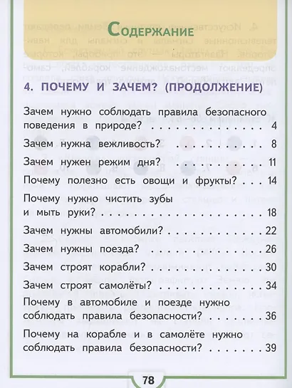 Окружающий мир. 1 класс. Учебное пособие. В 4 частях. Часть 4 (для слабовидящих обучающихся) - фото 2