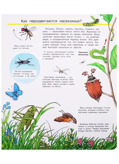 Что? Почему? Зачем? Все о насекомых (с волшебными окошками) - фото 5