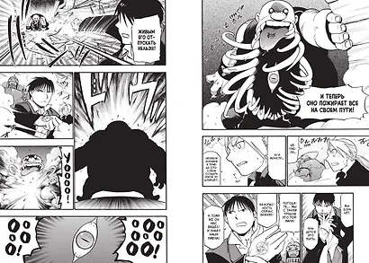 Стальной алхимик. Книга 9 (Fullmetal Alchemist). Манга - фото 4