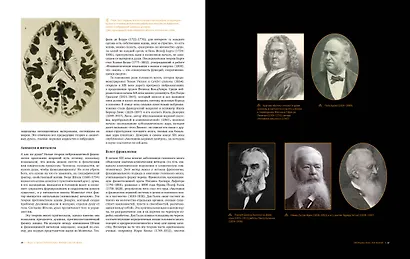 Большой атлас мозга - фото 5