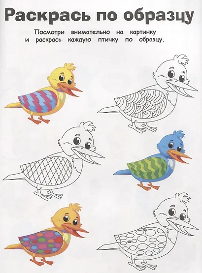 Птицы - фото 4