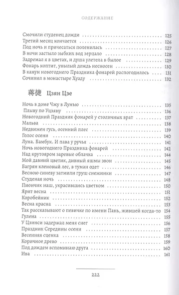 Стихи тишины. Лирика иносказаний - фото 5