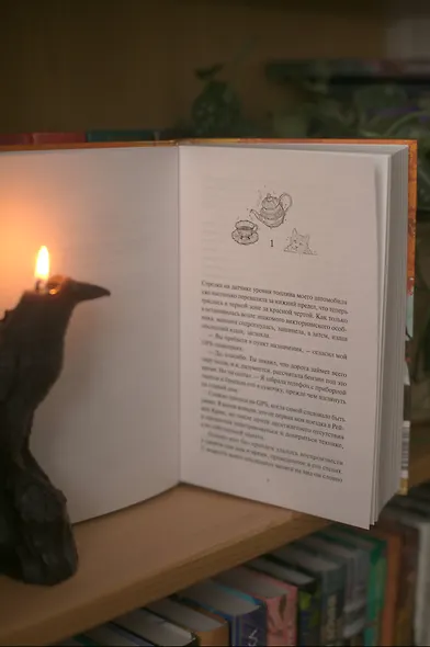 Книжный магазинчик ведьмы. Убийства и чаепития - фото 10