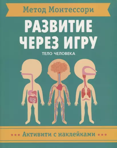 Метод Монтессори. Развитие через игру. Тело человека. Активити с наклейками - фото 1