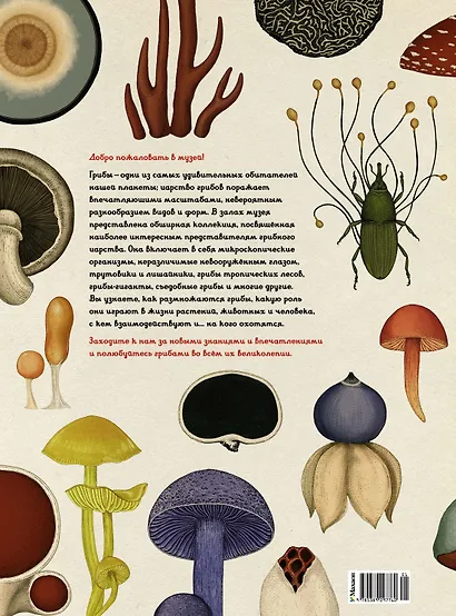 Грибариум - фото 2