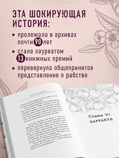 Барракун. История последнего раба, рассказанная им самим - фото 6